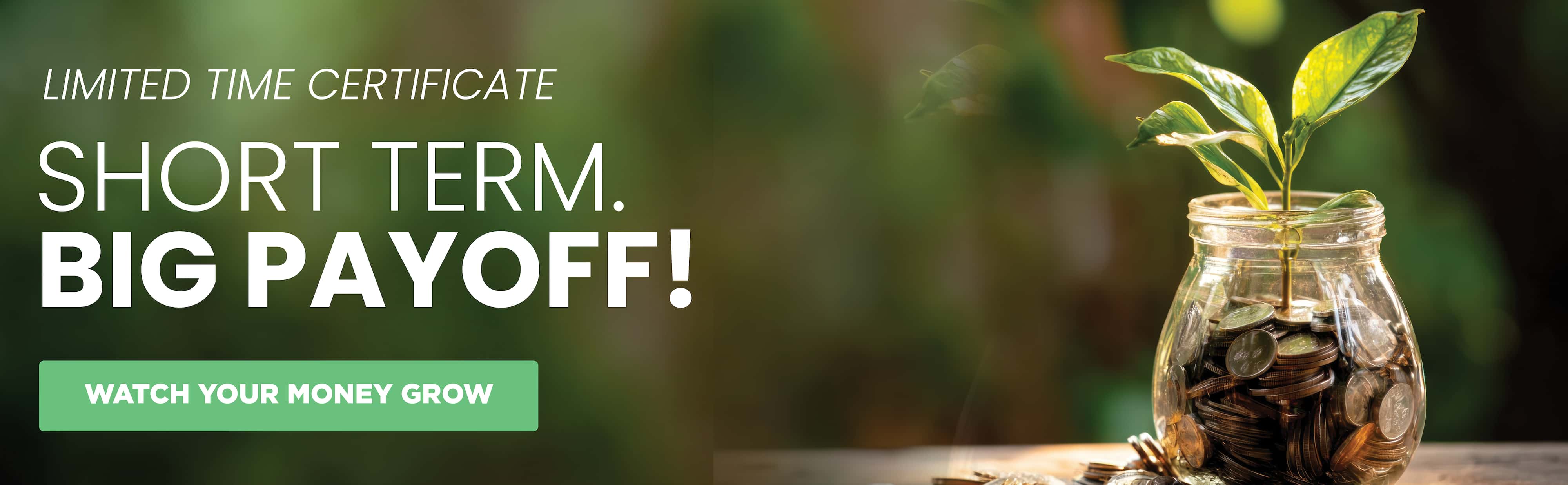 Image of cash in a jar. Text says watch your money grow.